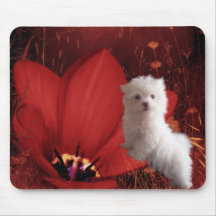 Perro de Mousepad maltés en el flor rojo