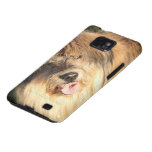 Perro de oro samsung galaxy s2 fundas