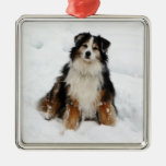 Perro de pastor australiano en nieve ornamentos de reyes