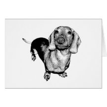 Perro de patas muy cortas blanco y negro de semito tarjeta