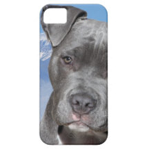 Perro de perrito de Pitbull Terrier del americano iPhone 5 Case-Mate Funda