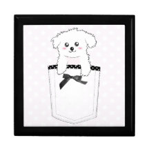 Perro de perrito lindo del bolsillo caja de regalo