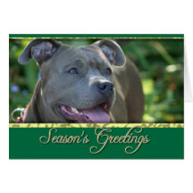 Perro de Pitbull de los saludos de la estación Felicitación