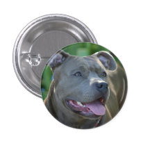 Perro de Pitbull Pins