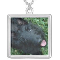 Perro de Scotty del collar de Terrier del escocés collares