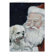 Perro de Shihtzu/Bichon y tarjeta de nota mezclado
