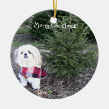 Perro de Shihtzu con el árbol de navidad Adorno