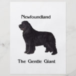 Perro de Terranova el gigante apacible Flyer Personalizado
