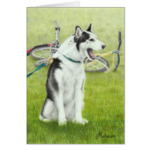 Perro de trineo del husky siberiano que grita tarjeton