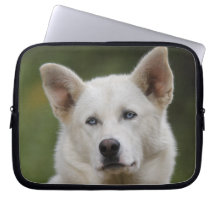 perro de trineo fundas portátiles