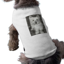 Perro de Westie en grafito Ropa De Perro