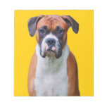 Perro del boxeador bloc