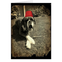 Perro del boxeador del tonelero de Tommy Tarjetón
