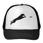 Perro del disco gorros  