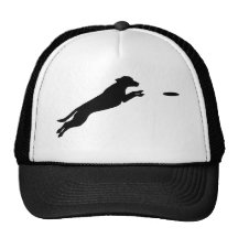Perro del disco gorros  