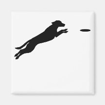 Perro del disco iman
