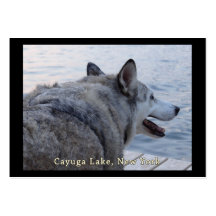 Perro del lobo del lago Cayuga Tarjetas Personales