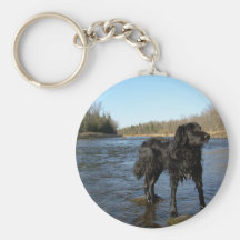 Perro del río Misisipi en las rocas Llavero