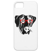 Perro elegante great dane con los vidrios iPhone 5 protectores