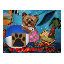 PERRO EN BEACHBALL - diversión en el Sun Tarjeta Postal