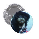perro en caso de la guitarra pins