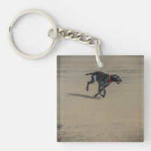 Perro en el llavero/el llavero de la playa