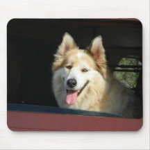 Perro en TTruck Tapete De Ratones