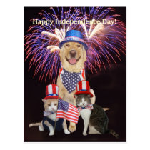 Perro/gato divertidos 4 de julio tarjetas postales
