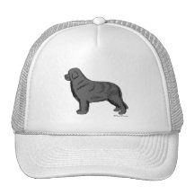 PERRO GRIS DE TERRANOVA GORRAS