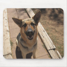 Perro guardián tapete de raton