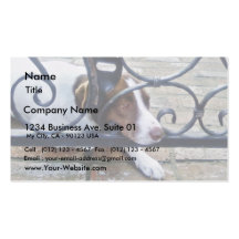 Perro hermoso en ladrillos plantillas de tarjetas de visita