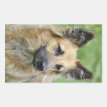 Perro hermoso rectangular altavoz