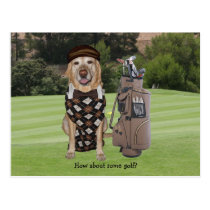 Perro/laboratorio divertidos en campo de golf tarjetas postales