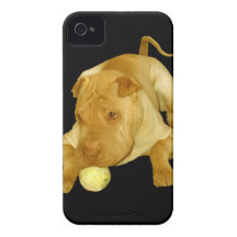 Perro lindo de Shar Pei iPhone 4 Case-Mate Fundas