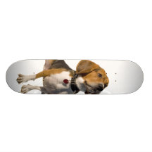 Perro lindo del beagle patin personalizado