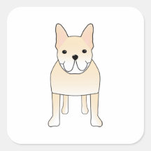 Perro lindo. Dogo francés poner crema pálido Pegatinas