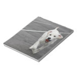 Perro lindo en una libreta blocs de notas