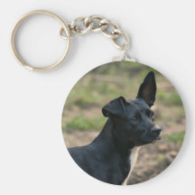 Perro Llaveros Personalizados