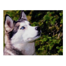 Perro Lookin ascendente Tarjeta Postal