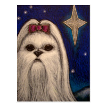 PERRO MALTÉS DEL DÍA DE FIESTA - ESTRELLA 1 DE BEL POSTAL