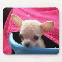 Perro Mousepad de la chihuahua Tapete De Ratones