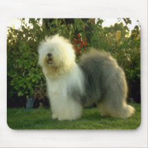 Perro - Mousepad Tapetes De Ratones
