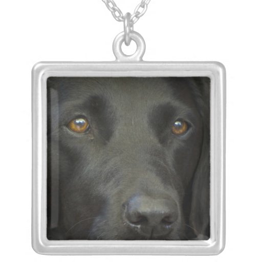 Perro negro de Labrador Collares Personalizados de Zazzle.es