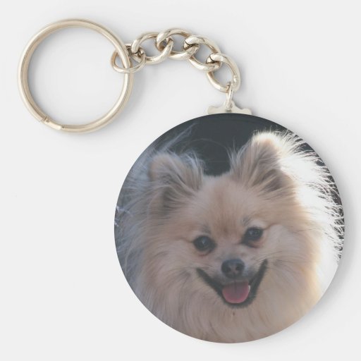 perro pomeranian mullido llaveros personalizados