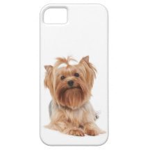 Perro precioso iPhone 5 carcasas