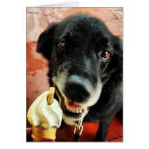 Perro que come el helado felicitaciones