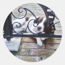 Perro que descansa en patio trasero pegatinas  