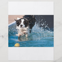 perro que salpica en aviador del agua tarjetón