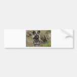 Perro salvaje africano pegatina de parachoque