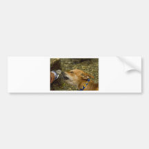 Perro sediento pegatina de parachoque